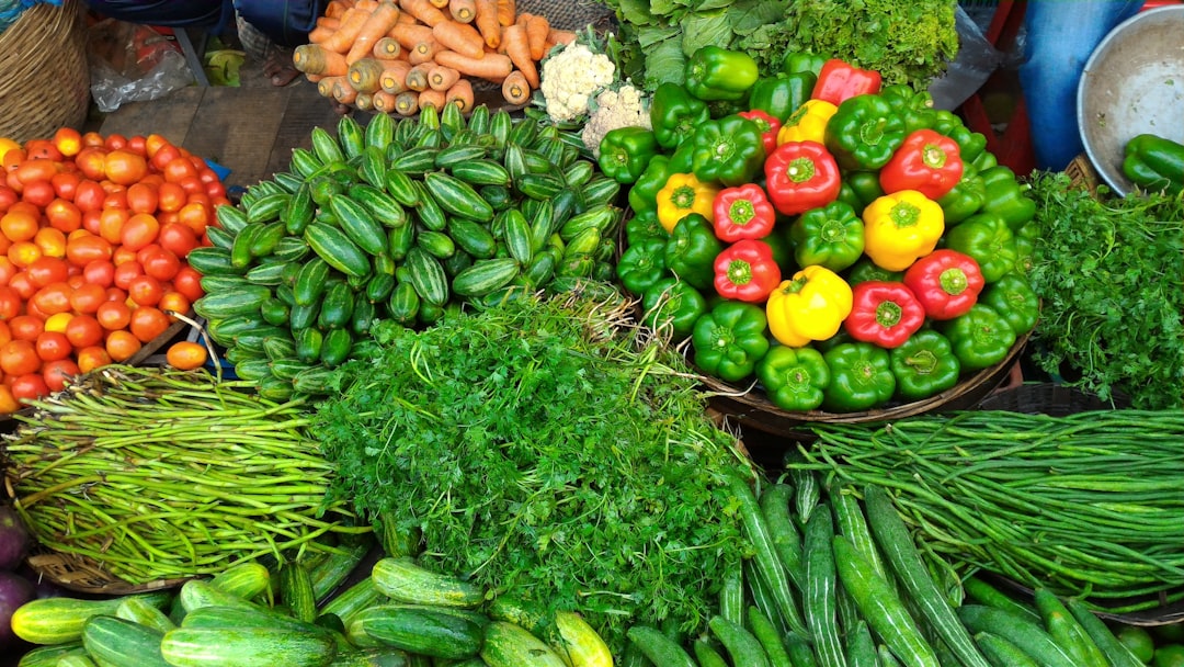 Vegetables vocabulary vocabulary flashcards