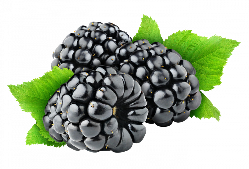 Blackberry