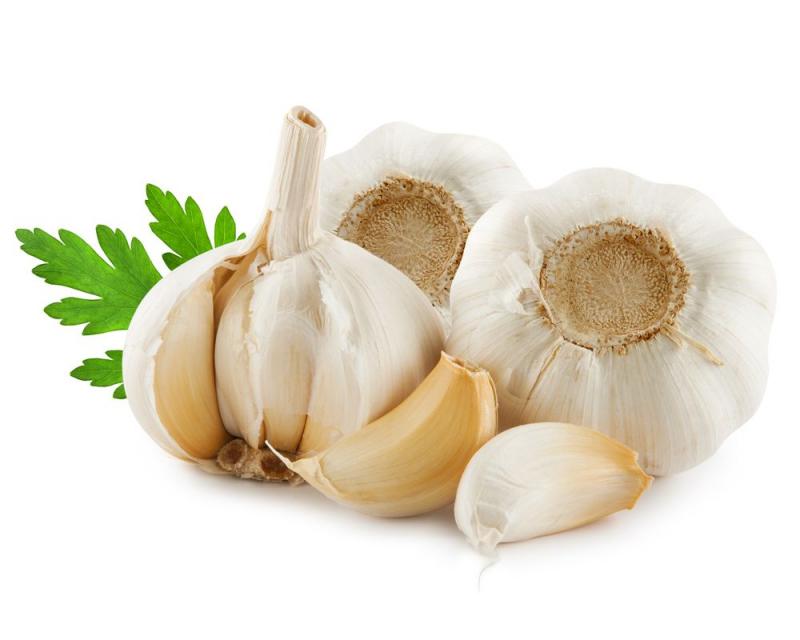 garlic